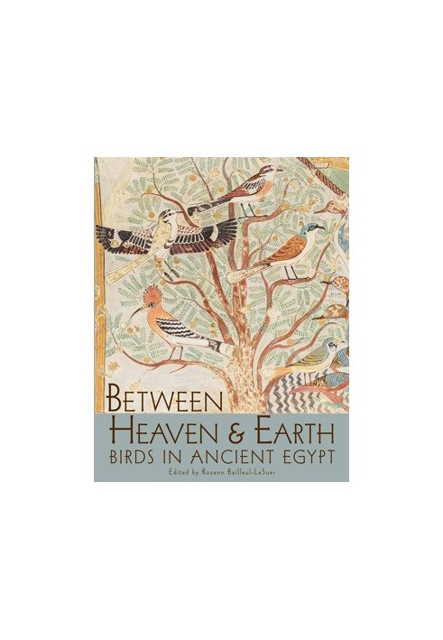 Between Heaven and Earth: Birds in Ancient Egypt