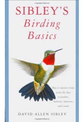 Sibley's Birding Basics