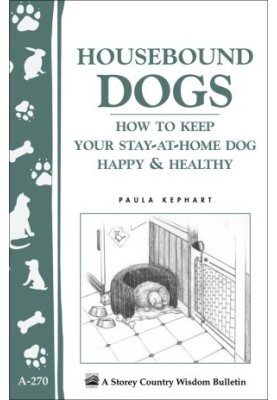 Housebound dogs: how to keep your stay-at-home dog happy & healthy
