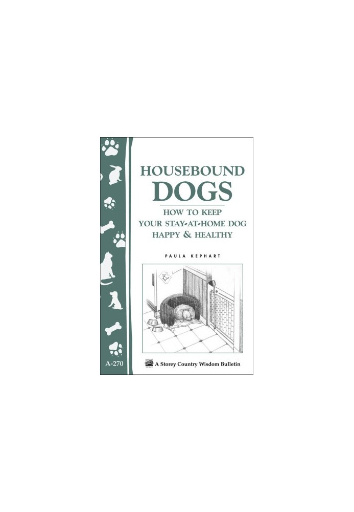 Housebound dogs: how to keep your stay-at-home dog happy & healthy