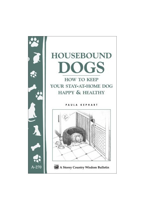Housebound dogs: how to keep your stay-at-home dog happy & healthy