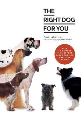 The Right Dog for You