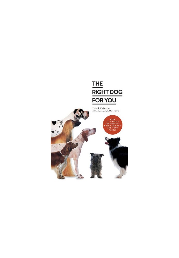 The Right Dog for You