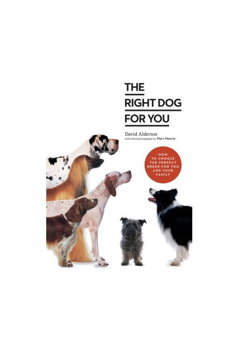 The Right Dog for You