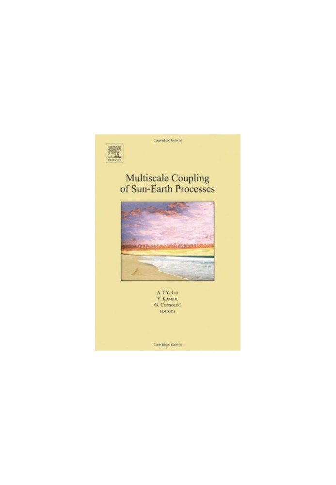 Multiscale Coupling of Sun-Earth Processes