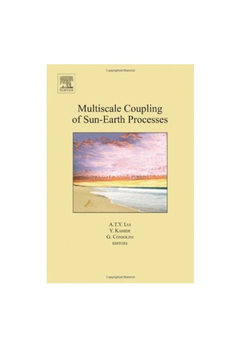 Multiscale Coupling of Sun-Earth Processes