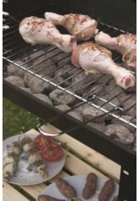 BBQ recipe : 70 of the best ever barbecue vegetarian recipes ... revealed!
