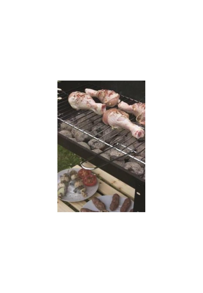 BBQ recipe : 70 of the best ever barbecue vegetarian recipes ... revealed!