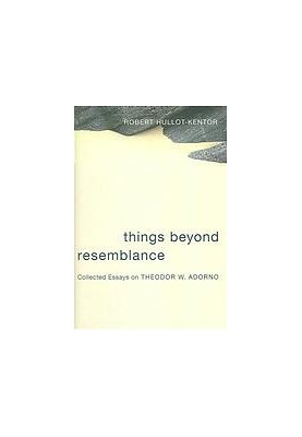 Things beyond resemblance : collected essays on Theodor W. Adorno