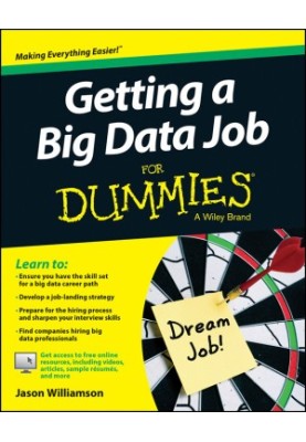 Getting a Big Data Job for Dummies