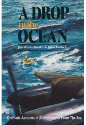 A drop in the ocean: Dramatic accounts of aircrew saved from the sea