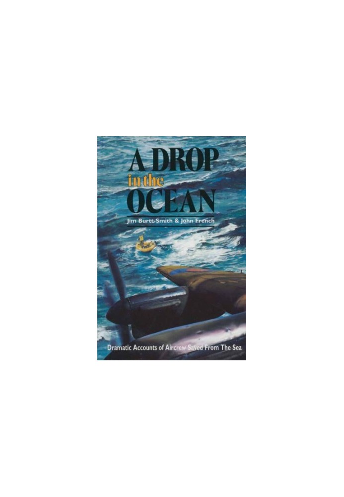A drop in the ocean: Dramatic accounts of aircrew saved from the sea