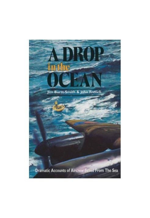 A drop in the ocean: Dramatic accounts of aircrew saved from the sea