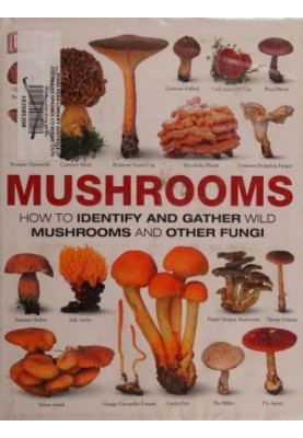 Mushrooms: How to Identify and Gather Wild Mushrooms and Other Fungi