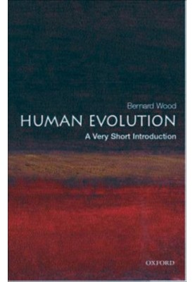 Human Evolution