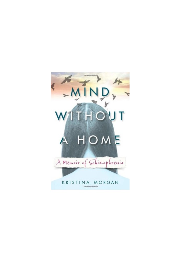 Mind without a home : a memoir of schizophrenia