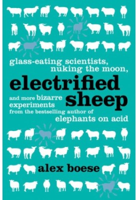 Electrified Sheep