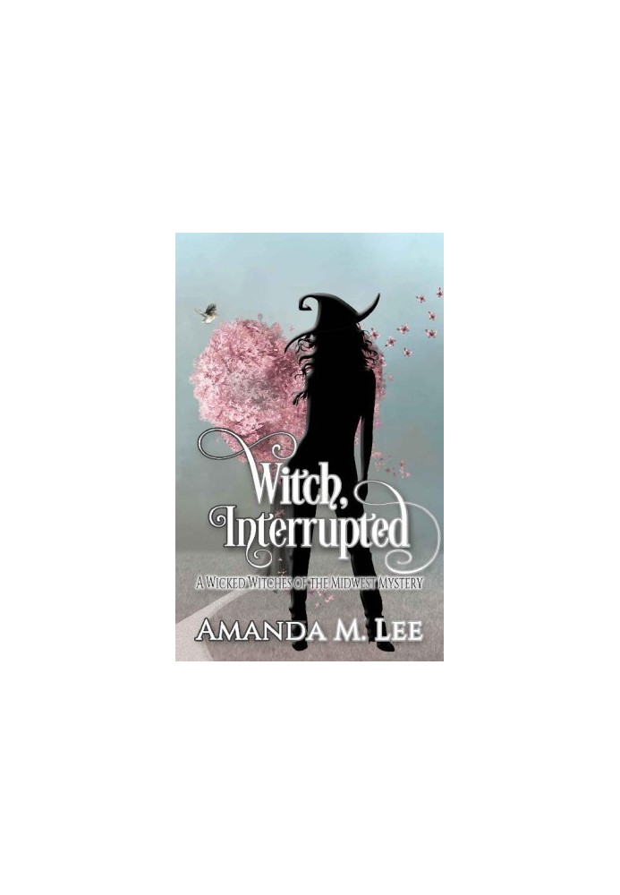 [Wicked Witches of the Midwest 13] • Witch, Interrupted