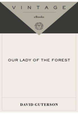 Our Lady of the Forest (Vintage Contemporaries)