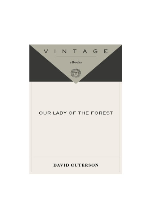 Our Lady of the Forest (Vintage Contemporaries)