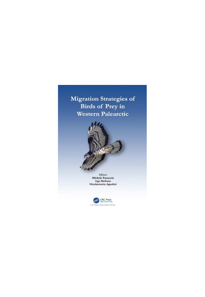 Migration Strategies of Birds of Prey in Western Palearctic