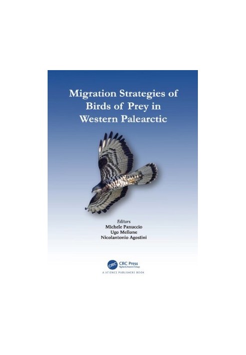 Migration Strategies of Birds of Prey in Western Palearctic