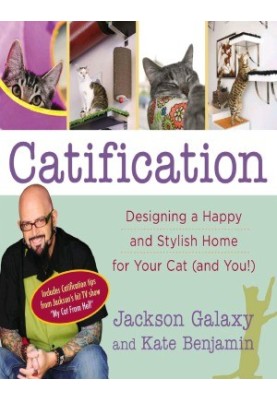 Catification Designing a Happy and Stylish Home for Your Cat (and You!)