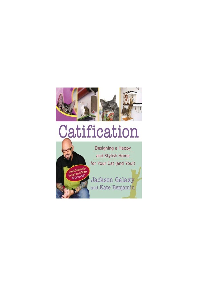 Catification Designing a Happy and Stylish Home for Your Cat (and You!)