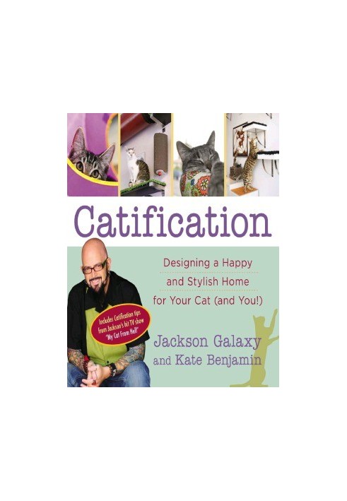 Catification Designing a Happy and Stylish Home for Your Cat (and You!)