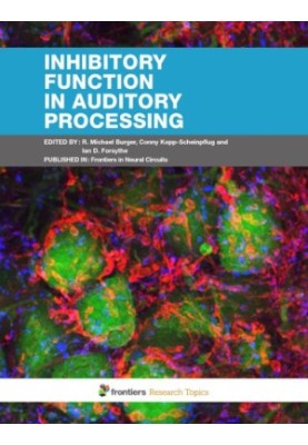 Inhibitory Function in Auditory Processing