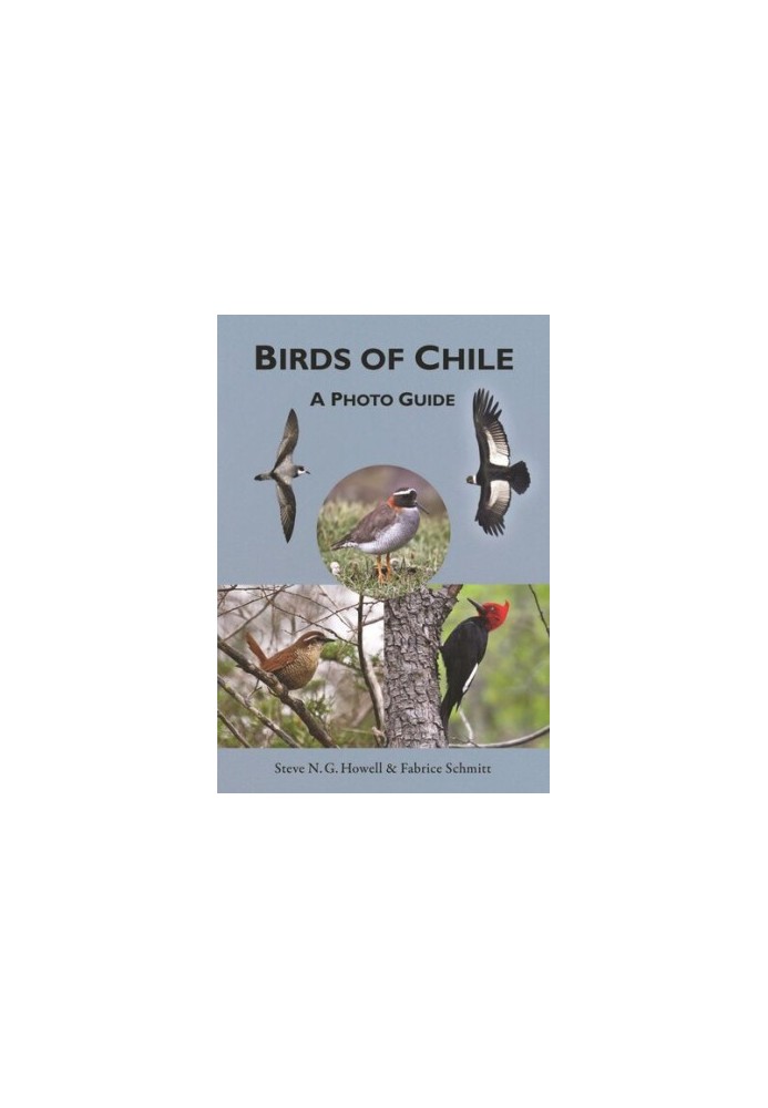 Birds of Chile: A Photo Guide