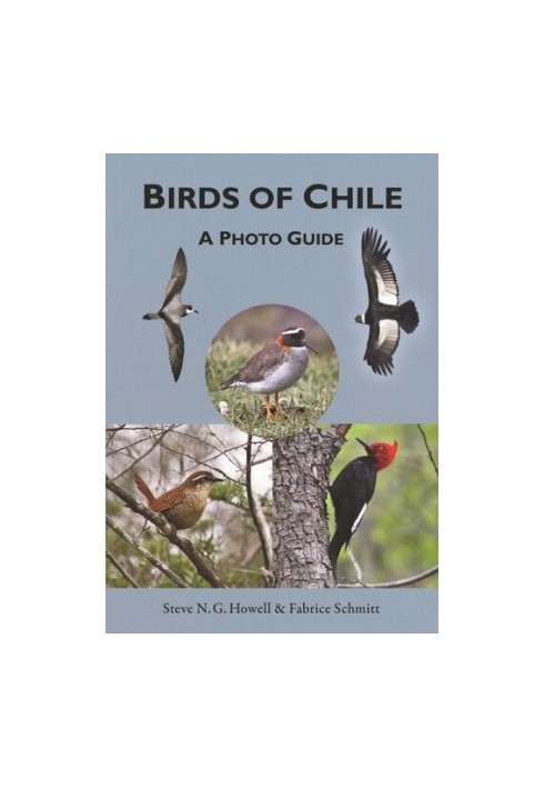 Birds of Chile: A Photo Guide
