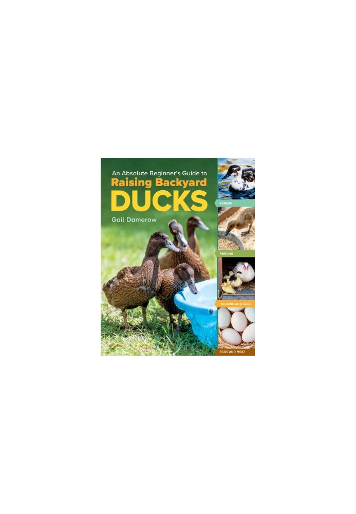 An Absolute Beginner's Guide to Raising Backyard Ducks