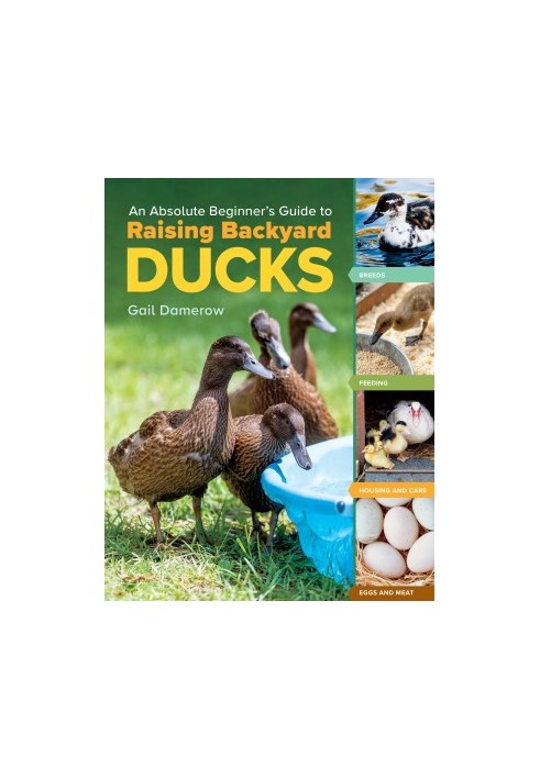 An Absolute Beginner's Guide to Raising Backyard Ducks
