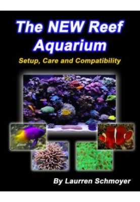 The New Reef Aquarium Setup Care and Compatibility