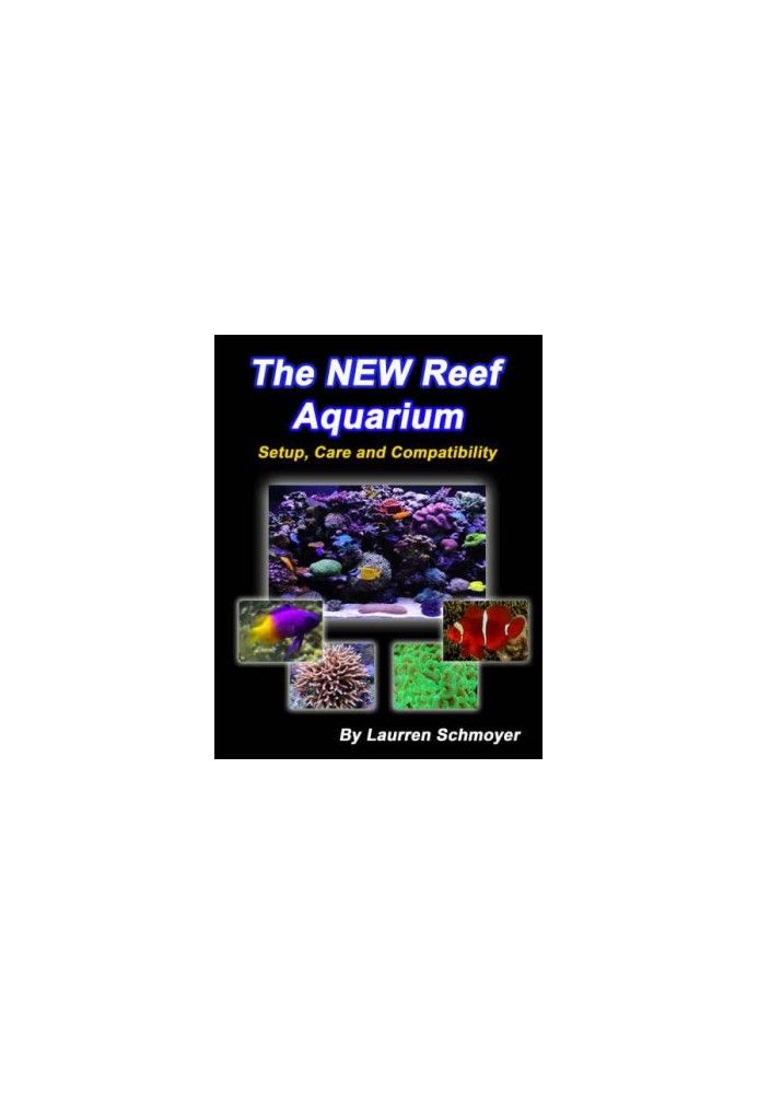 The New Reef Aquarium Setup Care and Compatibility