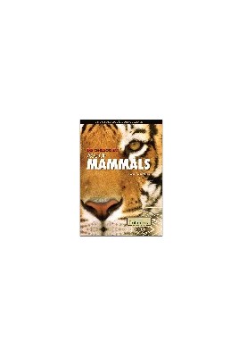 The Cenozoic Era. Age of Mammals
