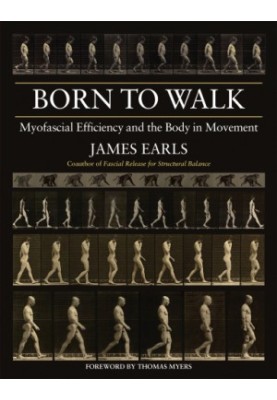 Born to walk: myofascial efficiency and the body in movement