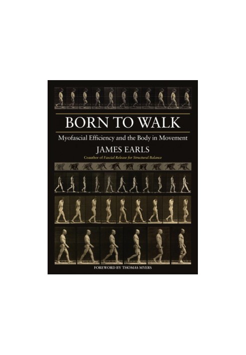 Born to walk: myofascial efficiency and the body in movement