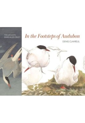 In the Footsteps of Audubon