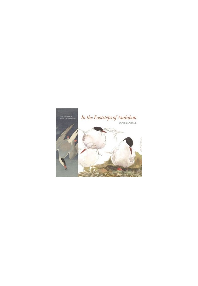 In the Footsteps of Audubon