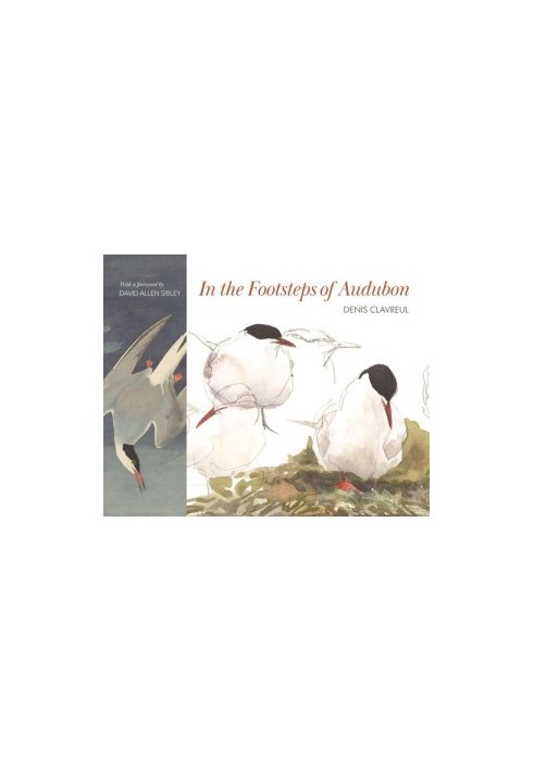 In the Footsteps of Audubon