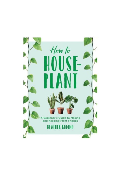 How to houseplant: a beginner's guide to making and keeping plant friends