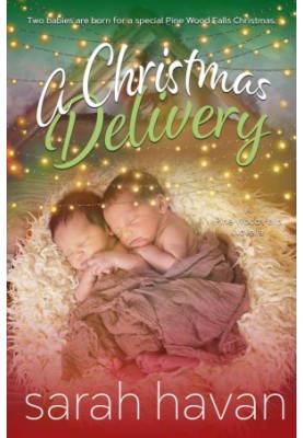 A Christmas Delivery