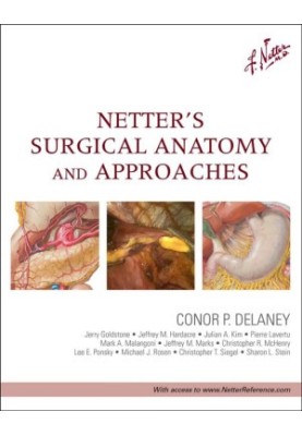 Netter's Surgical Anatomy and Approaches