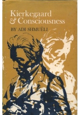 Kierkegaard & consciousness