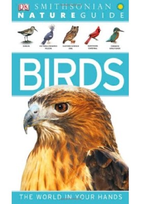 Nature Guide: Birds