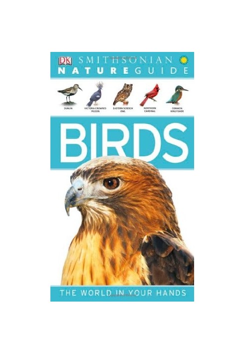 Nature Guide: Birds
