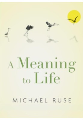 A Meaning to Life