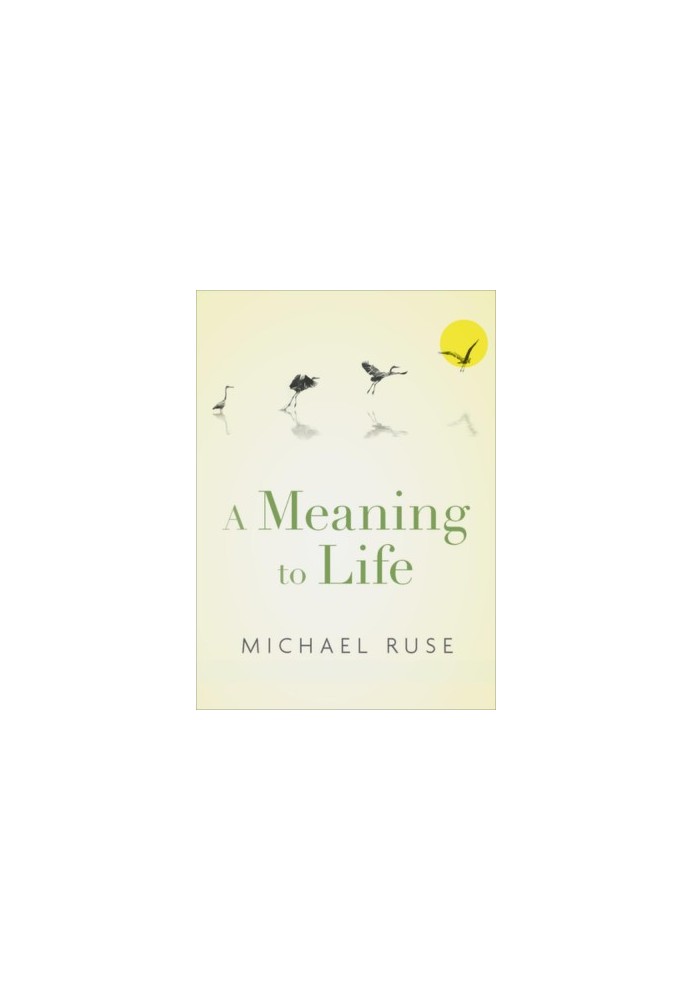 A Meaning to Life